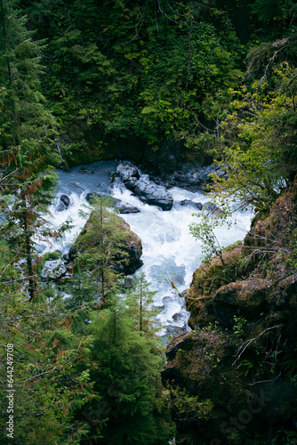 Hoh river, Olympic National park, Washington USA © Mitchell