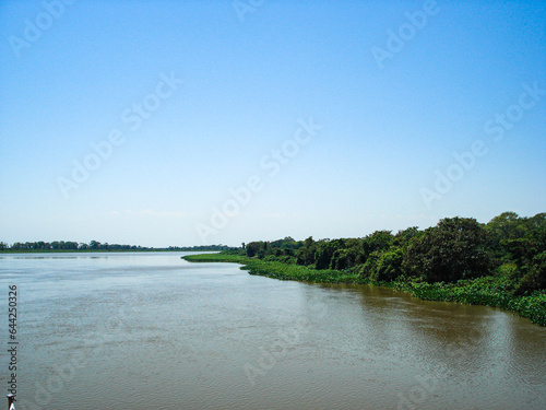 Wide river with aquatic vegetation and trees on the shore on a clear sunny day