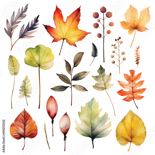 A collection of watercolor autumn leaves