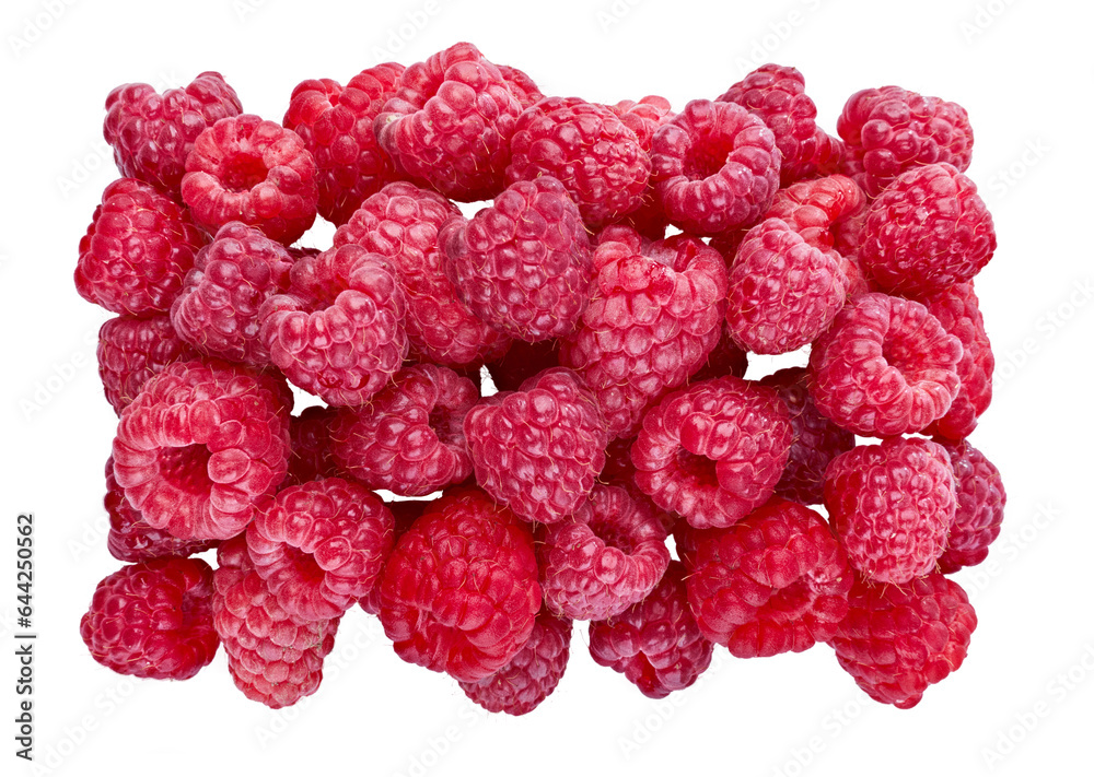 raspberry berries in circle isolated PNG raspberry berries in circle isolated PNG