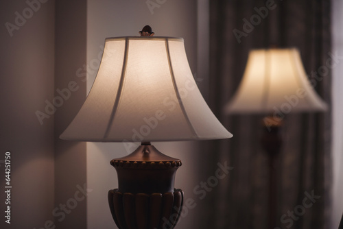 Modern bedside fabric table bed lamp light bulb on wooden table in cozy bedroom interior beautiful living room decoration for home architecture contemporary concept. Table lamp in the room or hotel