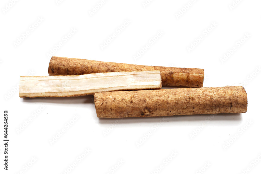 Burdock Root (Gobo) on white background. Burdock Root (Gobo) on white background.