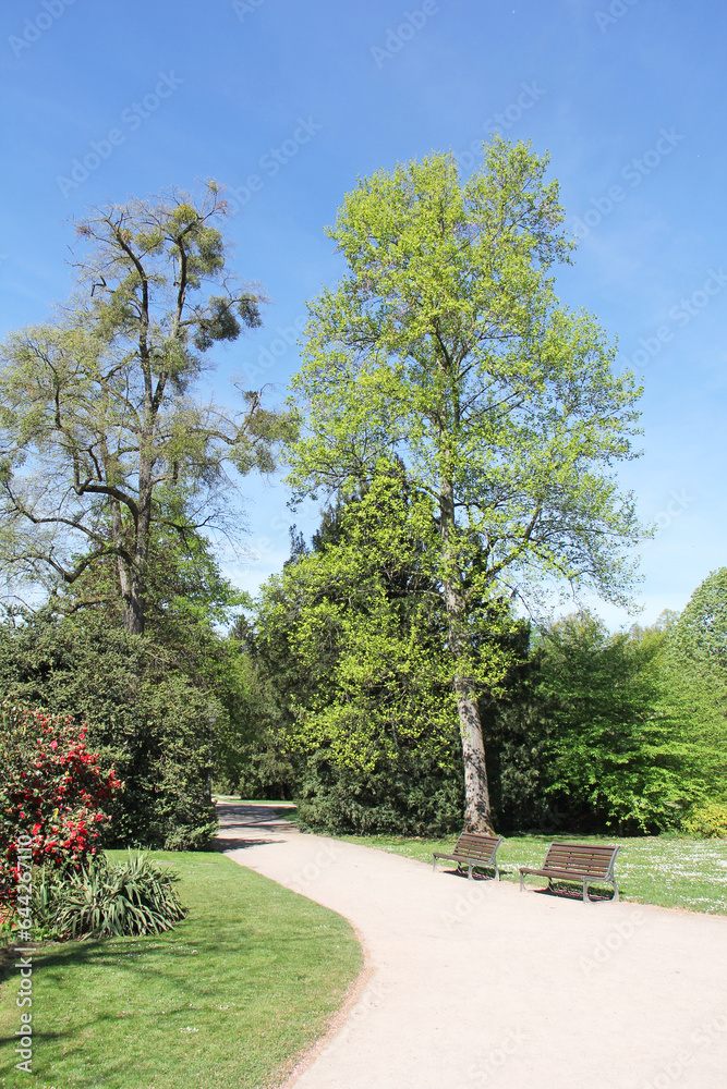 Park de l'Orangerie in Strasbourg Alsace France