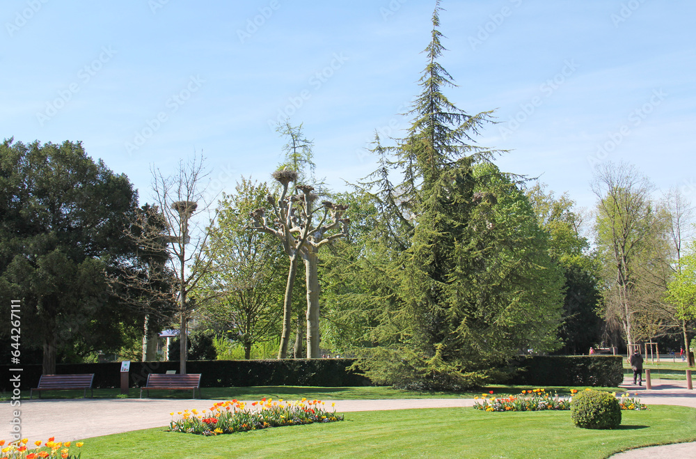 Park de l'Orangerie in Strasbourg Alsace France