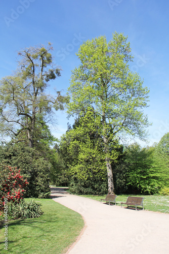 Obraz na płótnie Park de l'Orangerie in Strasbourg Alsace France w salonie