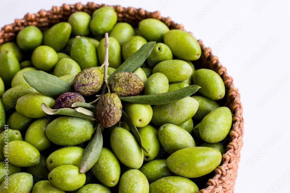 Freshly harvested green natural olives in wicker basket on white surface Freshly harvested green natural olives in wicker basket on white surface