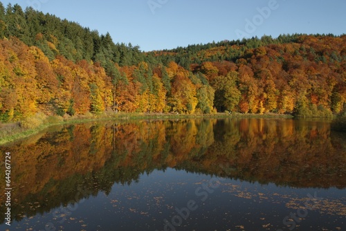 Image of colorful leaves falling down from tree branches in autumn. Hesse, Fulda, Marbach, Germany