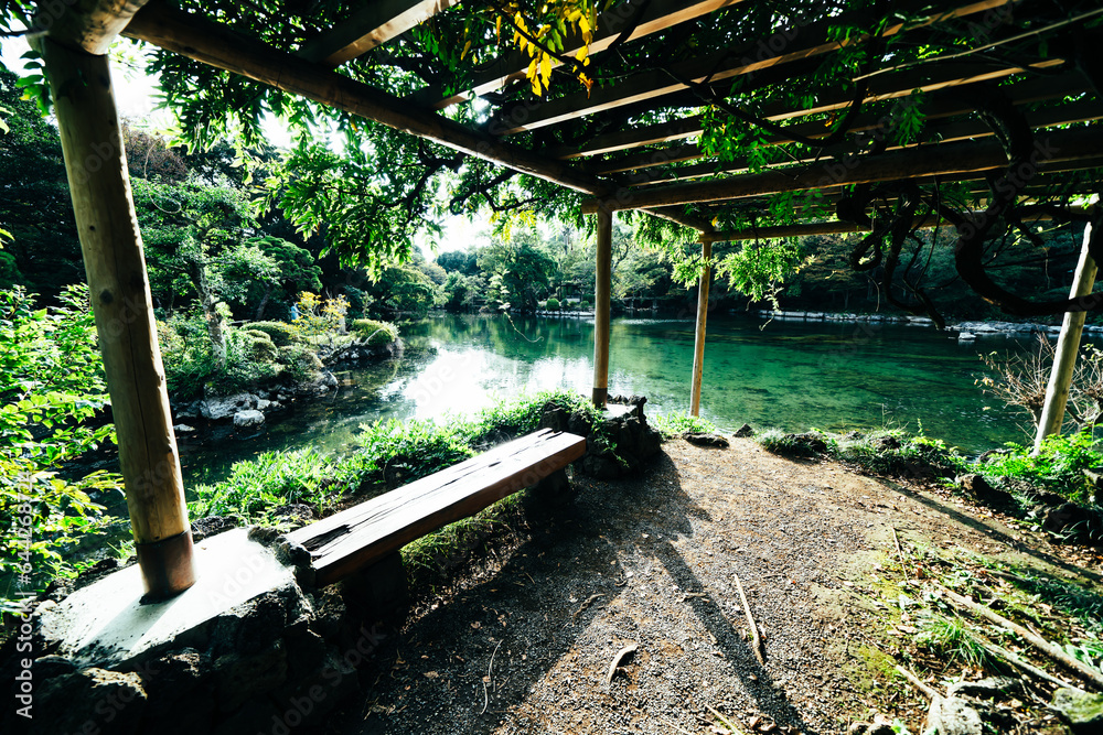 Fototapeta premium 三島の日本庭園