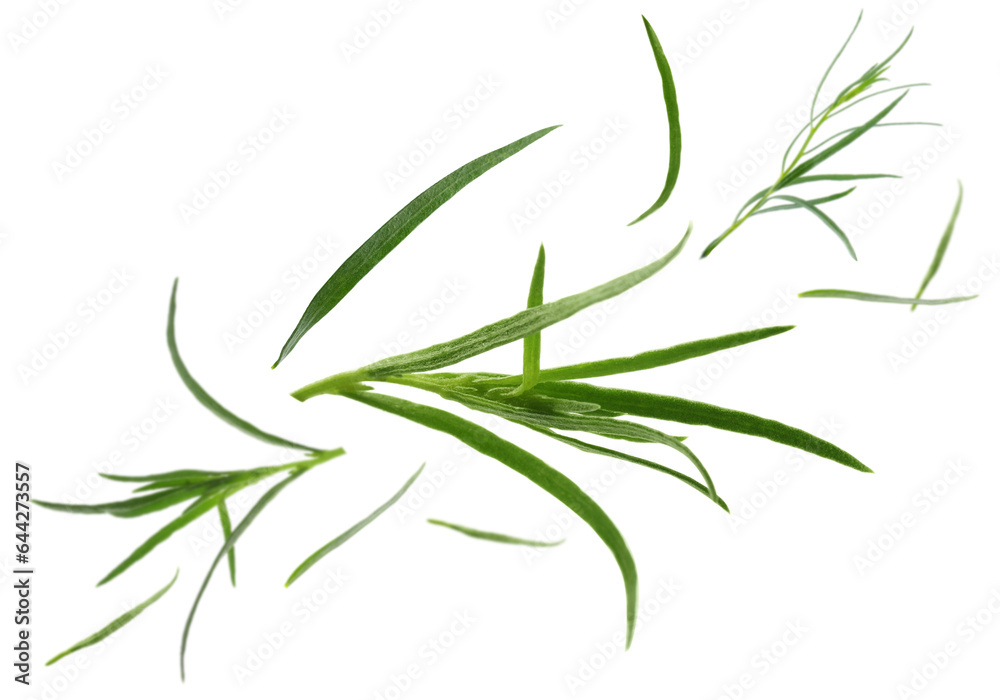 Naklejka premium Fresh green tarragon falling on white background