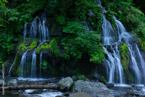 陰に沈む夏の朝の吐竜の滝