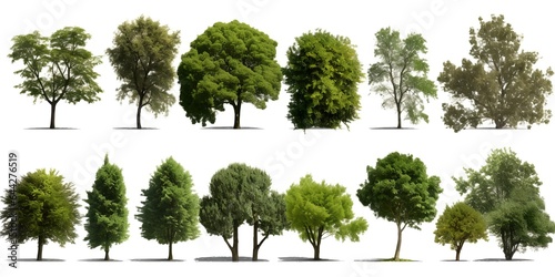Green trees collection on white background, generative ai.