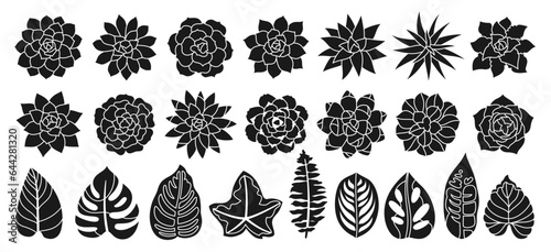 Succulent houseplant silhouette stamp set. Print shape home plant urban tropical jungle decor. Succulents hand drawn figure desert flower collection. Floral garden design for invitation poster vector