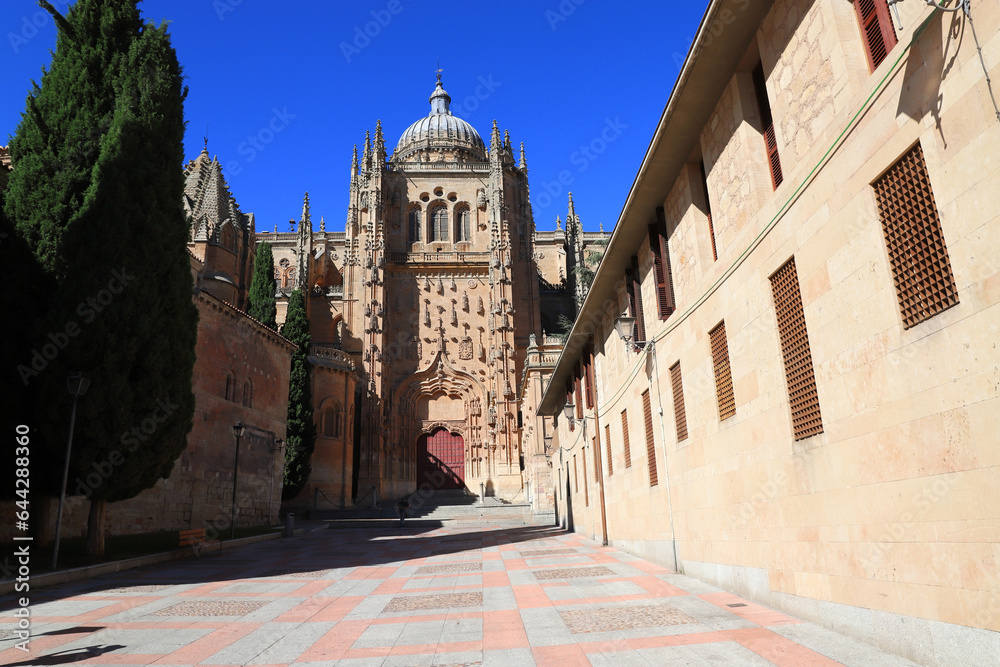 Fototapeta premium Travel to Spain. Salamanca. Attractions