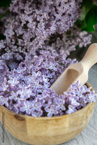 Wooden Bowl with wooden spoon of fresh purple lilac petals with branch of blooming lilac. Lilac flowers fragrance. Concept for spa wellness and aromatherapy. Copy space Still life composition