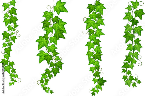 Hanging creeper branch set. Green natural vines