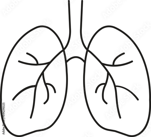 human lungs icon, respiratory system healthy lungs anatomy flat medical organ icon isolated on white background. line medical organ icon.