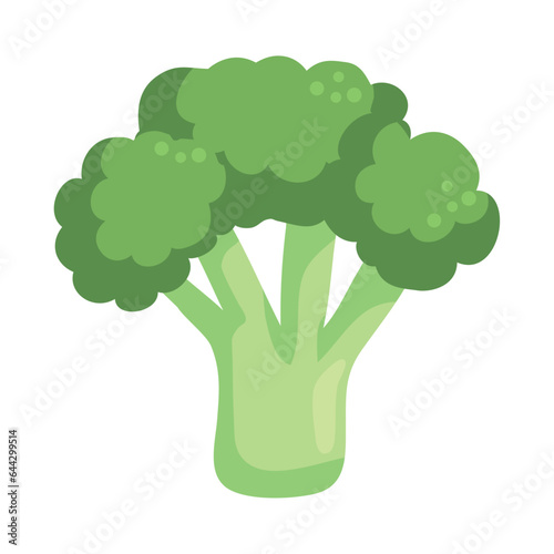 broccoli fresh vegetable icon