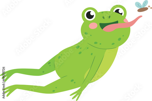 Frog catch flies. Fast jumping cute animal