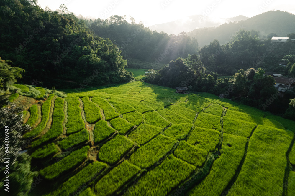 Rice terraces in the forest at a rural village