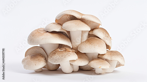 One fresh, Mushrooms in the center against a pure white background.