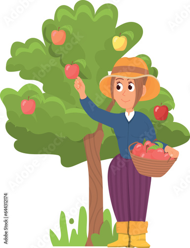 Woman harvest apple from tree. Cartoon female gardener