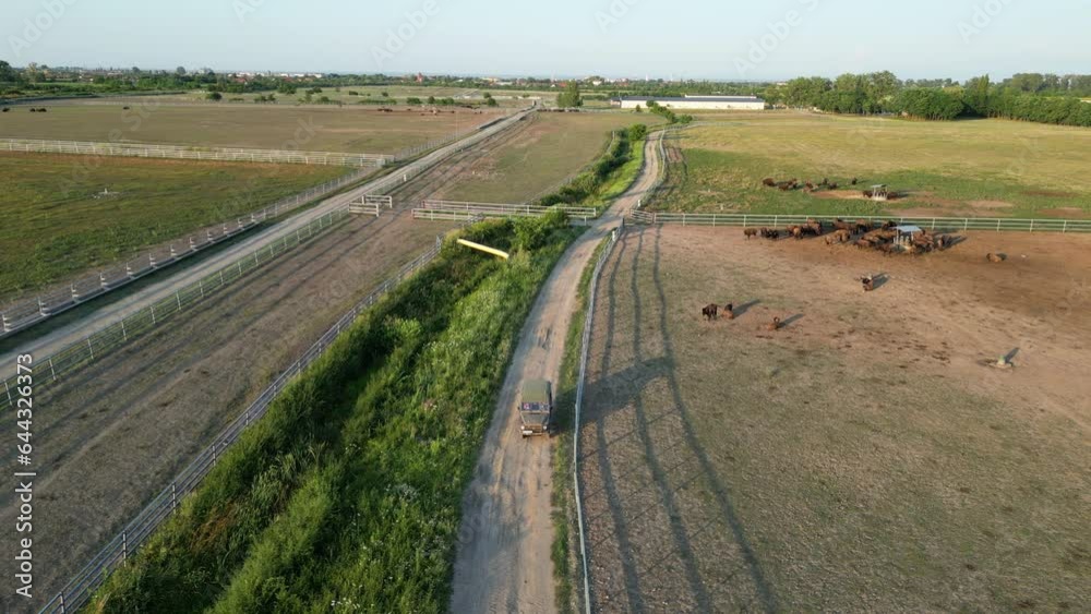Bison farm in Europe seen from the air Bison farm in Europe seen from the air