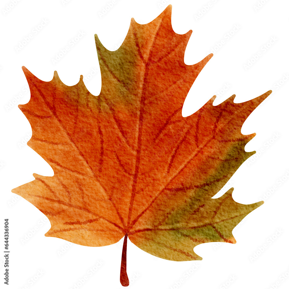 Obraz premium Autumn elements