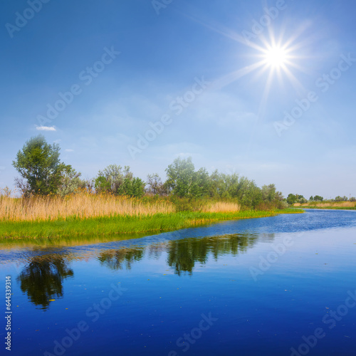 green forest on river coast reflected in water at sunny day, beautiful calm summer outdoor scene
