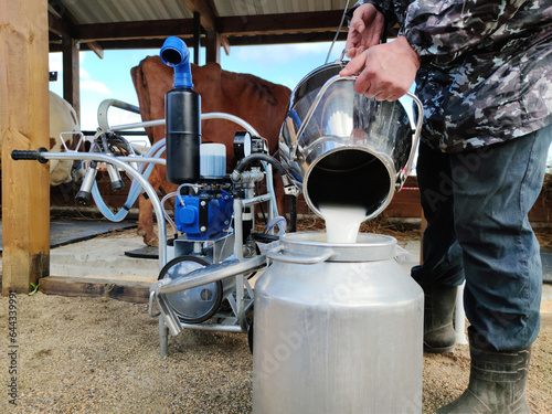 male milkman pours fresh milk from a cow with the help of an automated device for milking cows. concept of dairy production and environmental products.