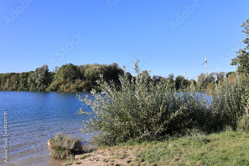 Blick am frühen Morgen auf den Tuttenbrocksee bei Beckum im Münsterland photo