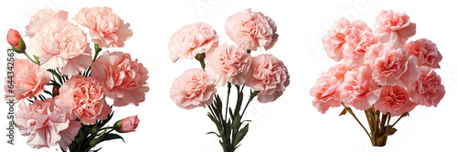 Obraz na płótnie Isolated carnation bouquet transparent background w salonie