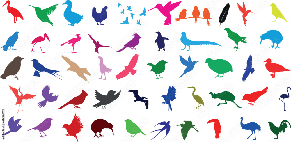 Colorful bird silhouettes on white background. Vector illustration of various birds in different colors and poses. Perfect for nature, wildlife, or art projects