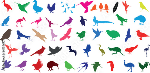Fototapeta Naklejka Na Ścianę i Meble -  Colorful bird silhouettes on white background. Vector illustration of various birds in different colors and poses. Perfect for nature, wildlife, or art projects