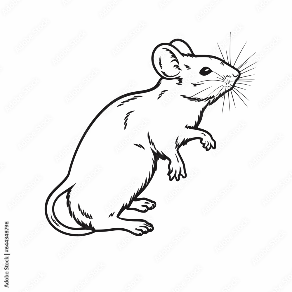 Fototapeta premium mouse