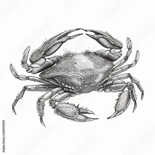 crab