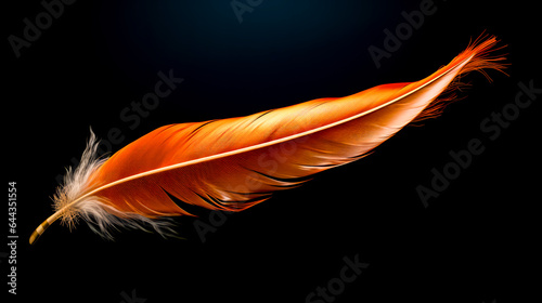 Close up of orange feather on black background with black background.