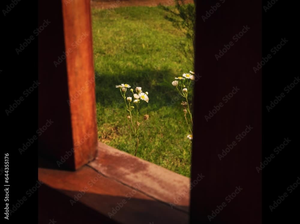 Blooming in heaven Blooming in heaven