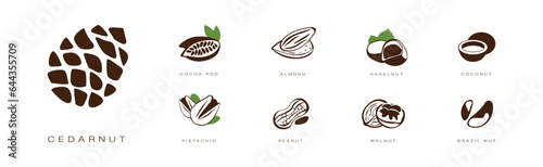 Seed and Nuts Brown Flat Icon with Name and Inscription Vector Set