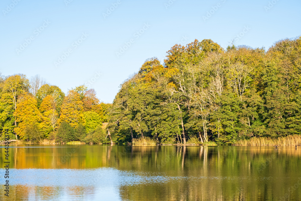 Colorful autumn landscape view by a lake Colorful autumn landscape view by a lake