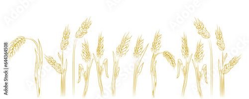 Wheat Ear vector icon. Wheat Ear logo. Grain icon. Agriculture symbol