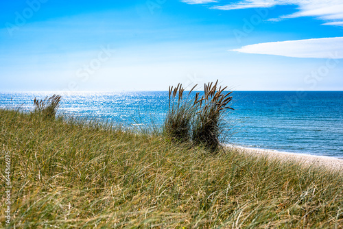 Germany, Schleswig-Holstein, Beach grass along shore of Sylt island photo