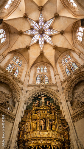 Art on the ceiling of the Cathedral of Burgos  the most beautiful in the world