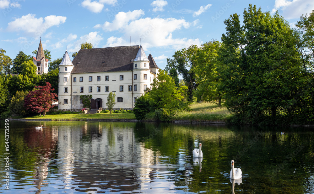 Austria, Upper Austria, Sankt Peter am Hart, Swans swimming in Mattig river with Hagenau Castle in background
