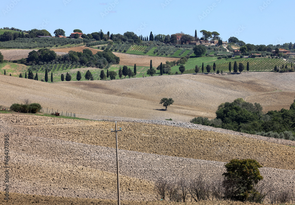 Fototapeta premium The rural landscape near Pienza in Tuscany. Italy
