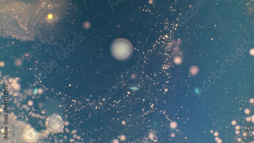  bacterial growth in a petri dish timelapse