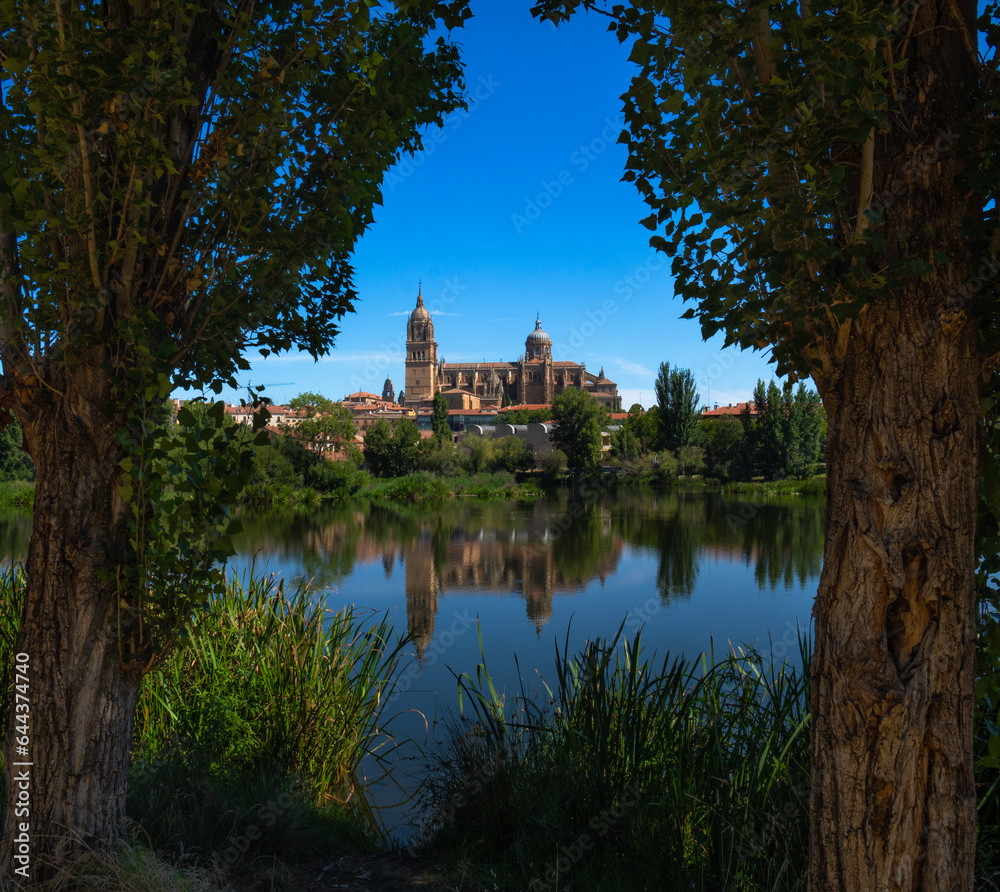 Tree-framed view of Salamanca Cathedral from the other side of the Tormes River with its reflection in the calm river water and all the green vegetation, clear blue sky and clean river water.