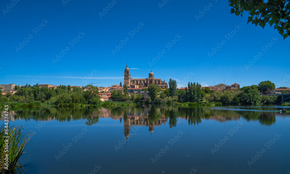 Panoramic view of Salamanca Cathedral from the other side of the Tormes River with its reflection in the calm river water and all the green vegetation, clear blue sky and clean river water.
