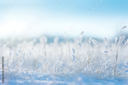  A winterthemed scene featuring a serene light background of snowcovered grass. The late morning light softly illuminates the scene, casting gentle and delicate shadows on the