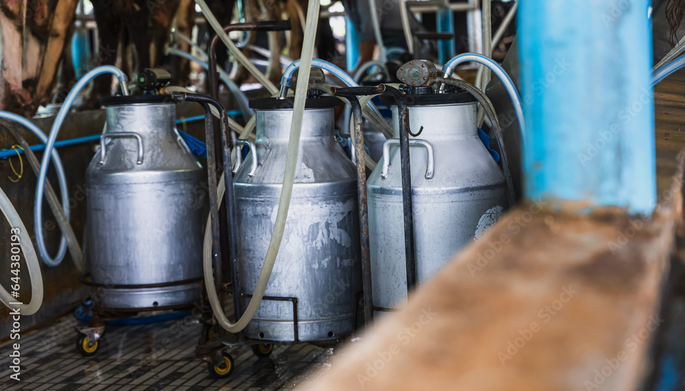 Close up steel milk container with pump machine in milking dairy farming Close up steel milk container with pump machine in milking dairy farming
