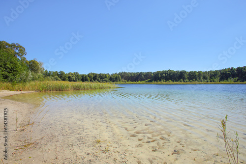 View at the lake  Gro  d  llner See  in UNESCO Schorfheide Biosphere Reserve - Federal State Brandenburg - Germany